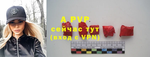 a pvp Рославль
