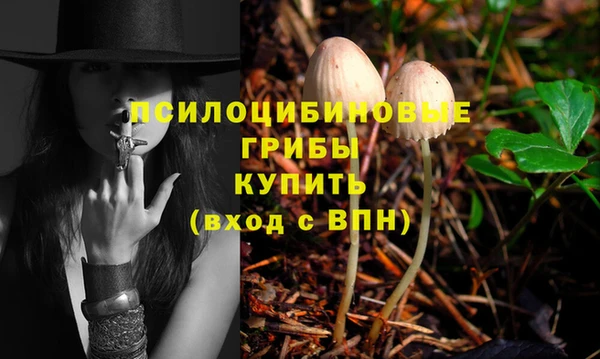 a pvp Рославль