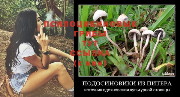 a pvp Рославль