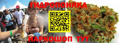 мяу мяу мука Аргун