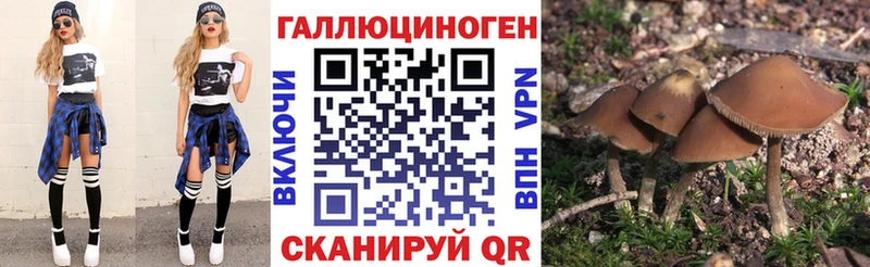 Галлюциногенные грибы мицелий  площадка формула  Сибай  кракен сайт 