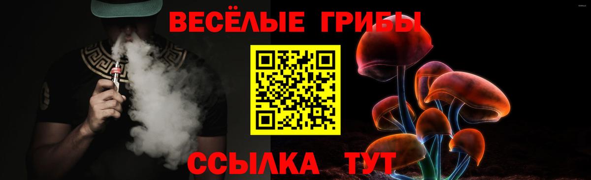 Галлюциногенные грибы Cubensis Сибай