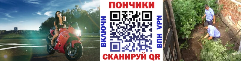 закладка  ссылка на мегу рабочий сайт  МАРИХУАНА марихуана  Сибай 